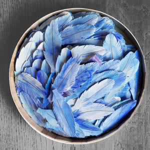 Paper abstract artwork 'Bluebird'